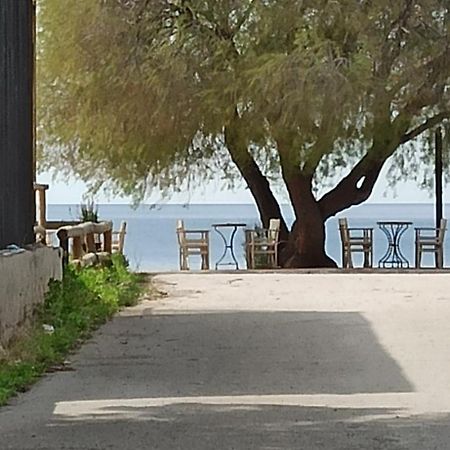 Ψάθα Παραλία别墅 外观 照片