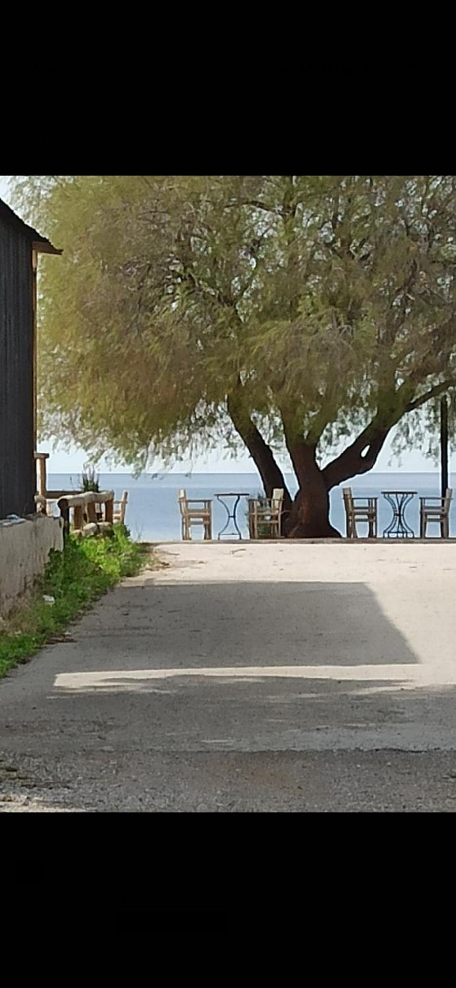 Ψάθα Παραλία别墅 外观 照片